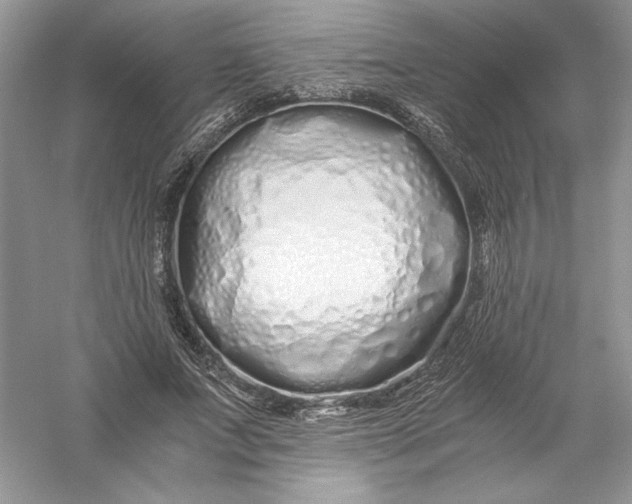 X0000056020687200509092139