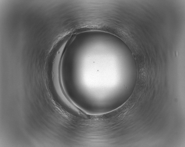 X0000056020688200509092139