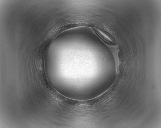 X0000056020689200509092139