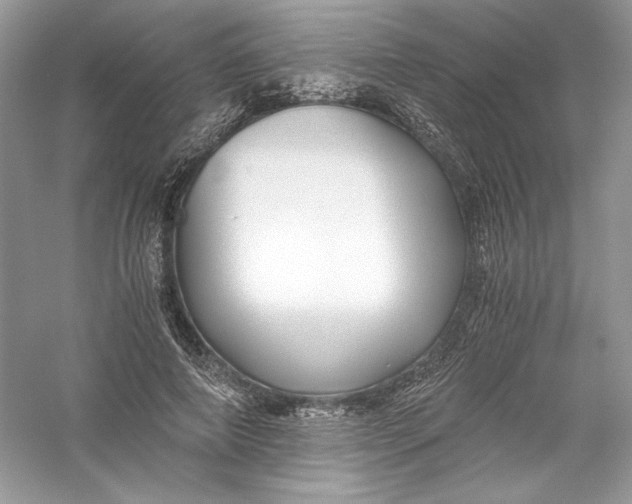 X0000056020690200509092139