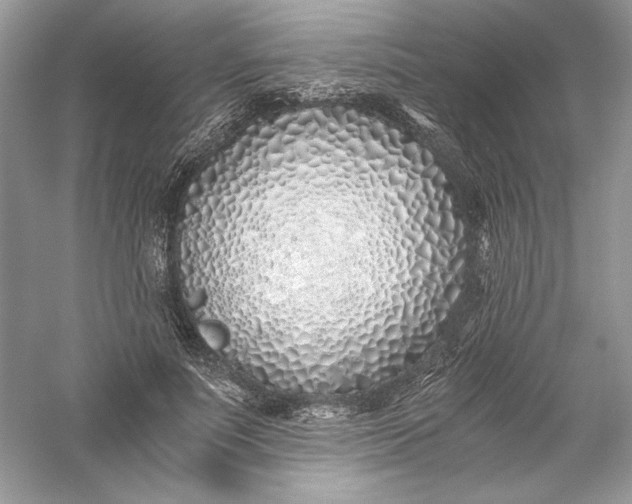 X0000056020691200509092139