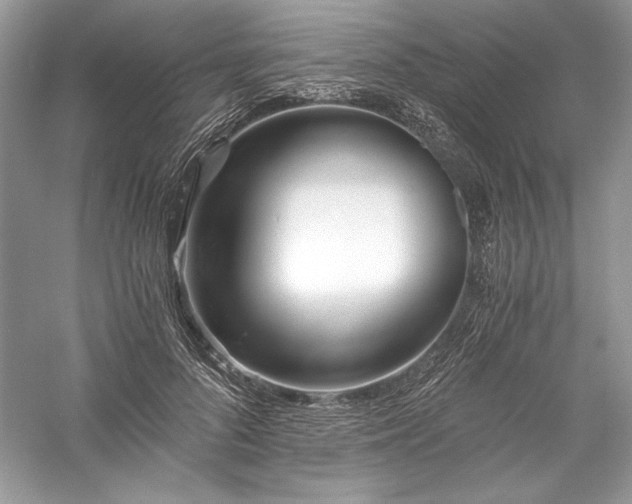 X0000056020696200509092139