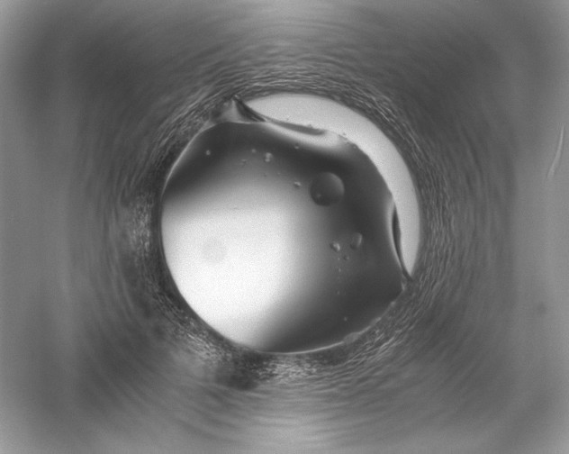 X0000056020697200509092139