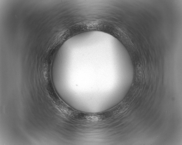 X0000056020698200509092139