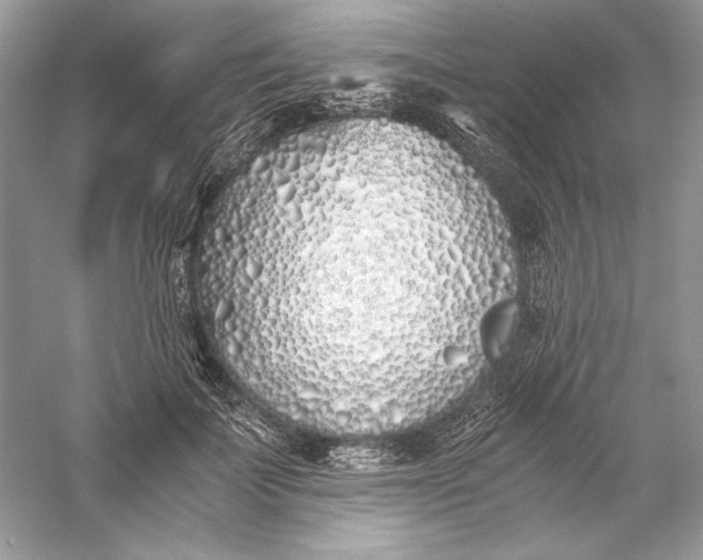 X0000056020699200509092139