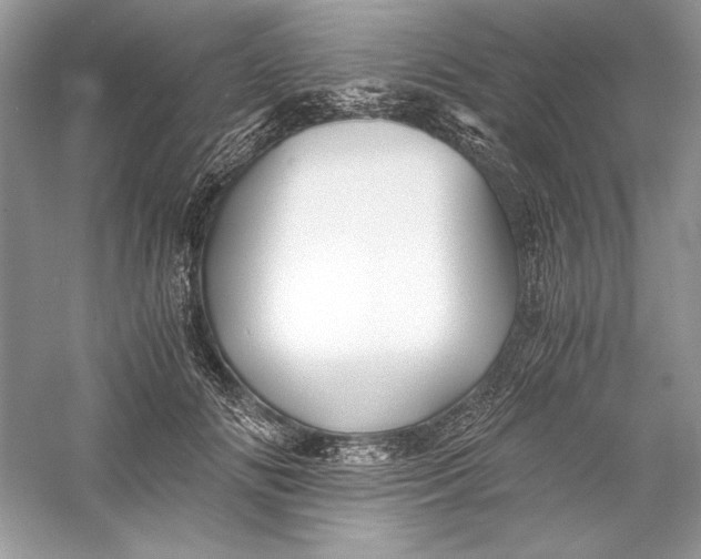 X0000056020702200509092139