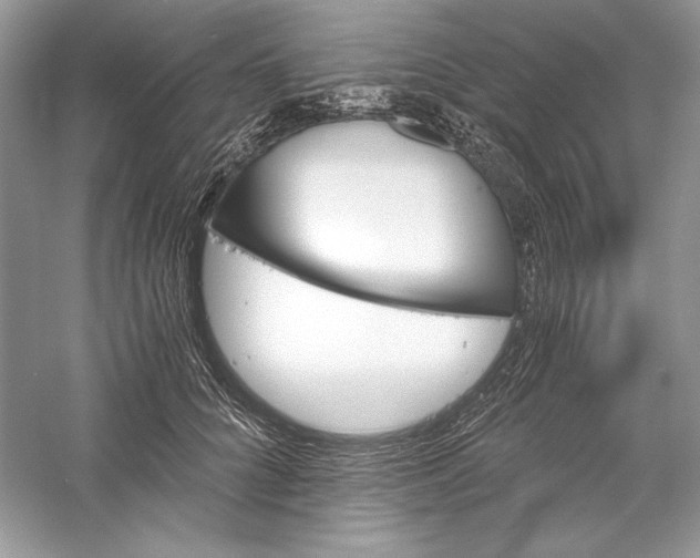 X0000056020704200509092139