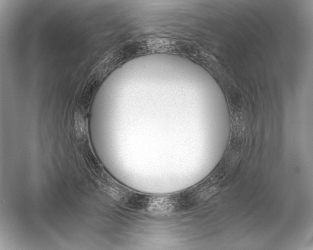 X0000056020705200509092139