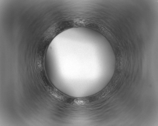 X0000056020706200509092139
