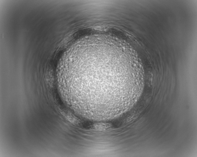 X0000056020707200509092139