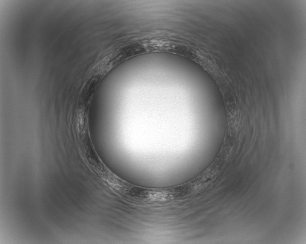 X0000056020709200509092139