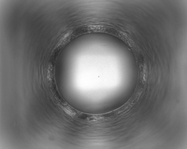 X0000056020712200509092139