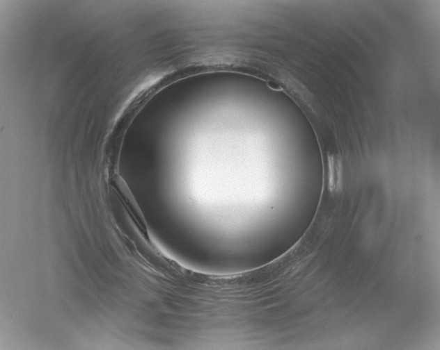 X0000056020723200509092138