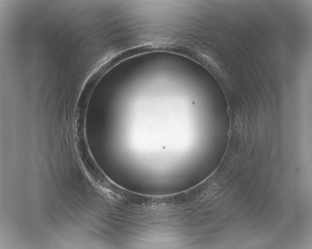 X0000056020730200509092138
