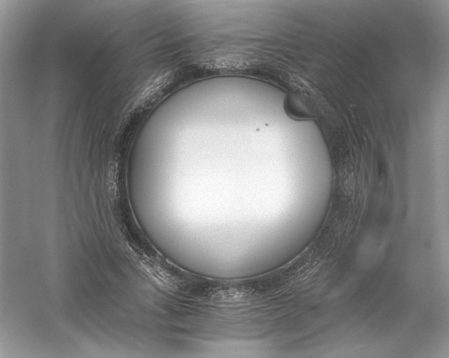 X0000056020735200509092138