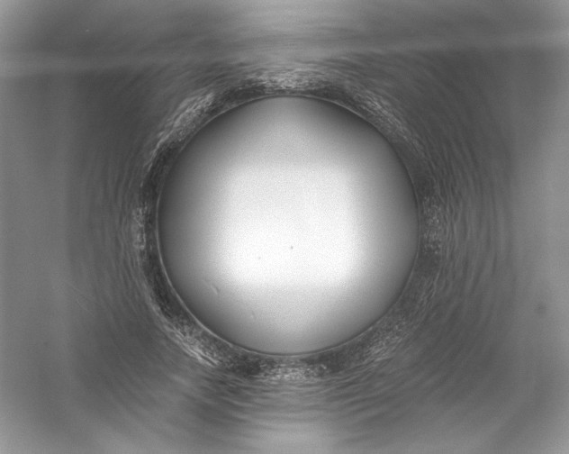 X0000056020738200509092138