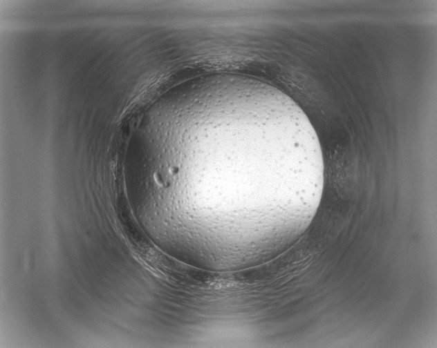 X0000056020742200509092138