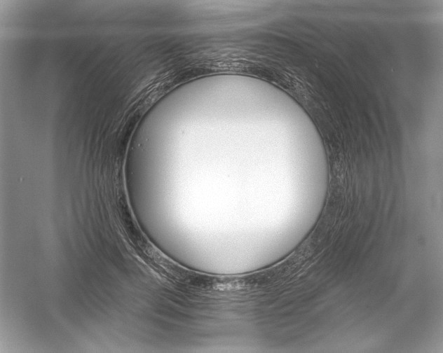 X0000056020744200509092138