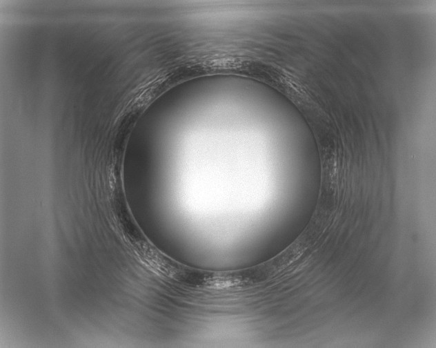 X0000056020746200509092138