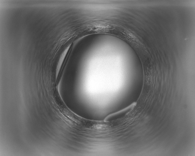 X0000056020748200509092138