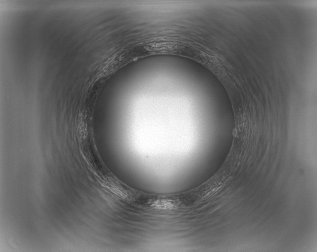 X0000056020751200509092138