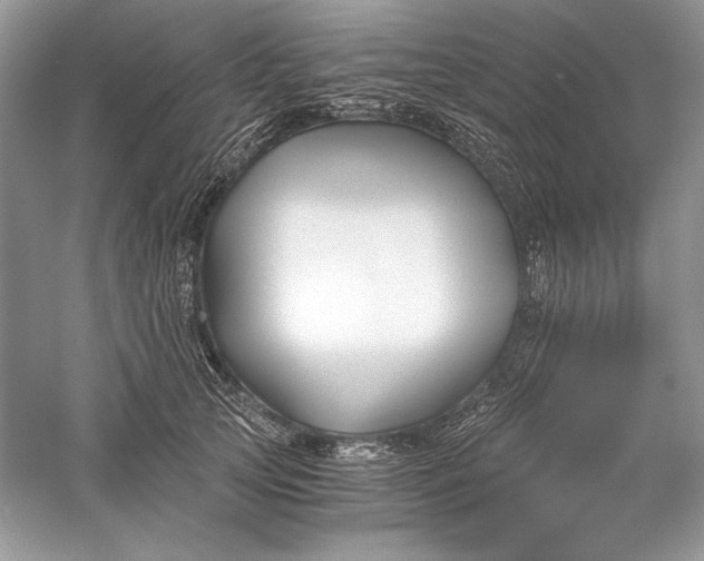 X0000056020753200509092138
