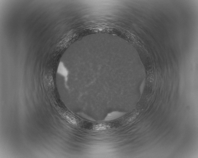 X0000056020754200509092139