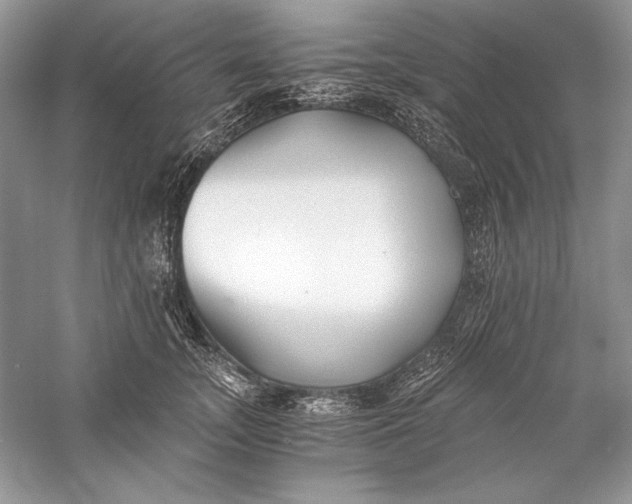 X0000056020755200509092139