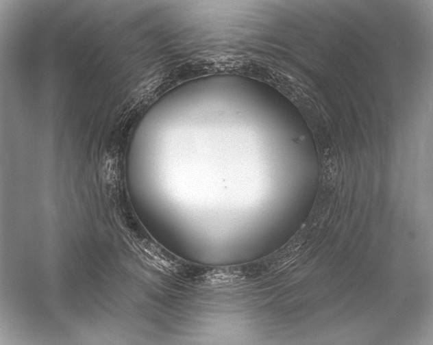 X0000056020756200509092139