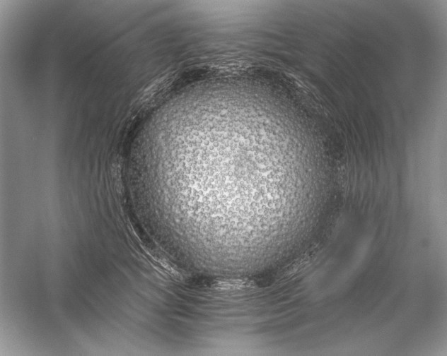 X0000056020757200509092139