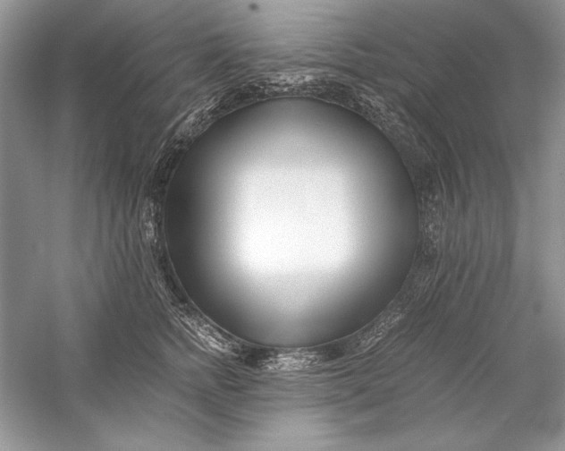 X0000056020758200509092139