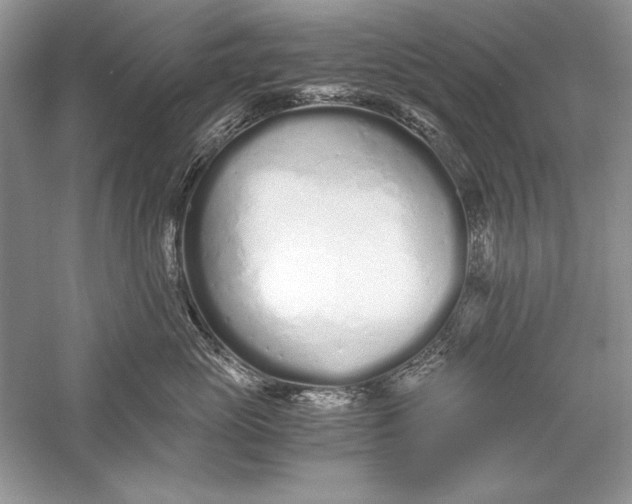 X0000056020765200509092139