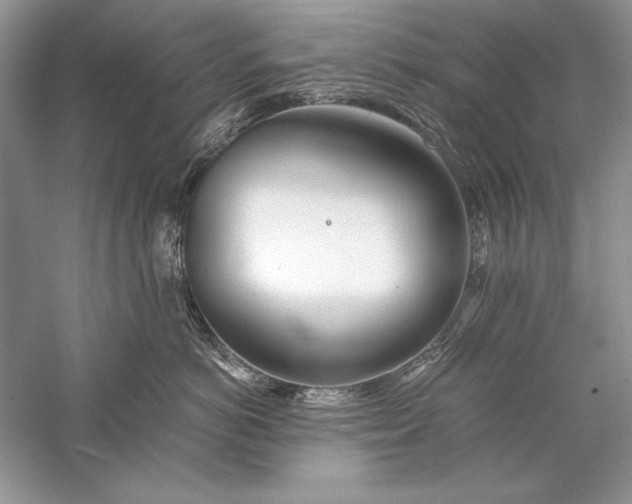 X0000056020766200509092139
