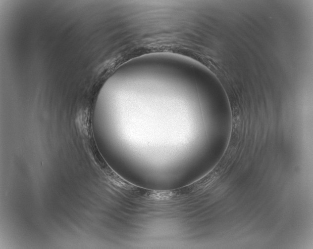 X0000056020767200509092139