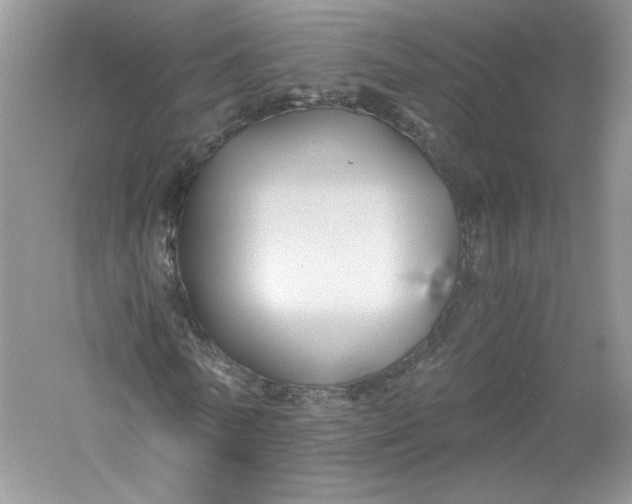 X0000056020770200509092138