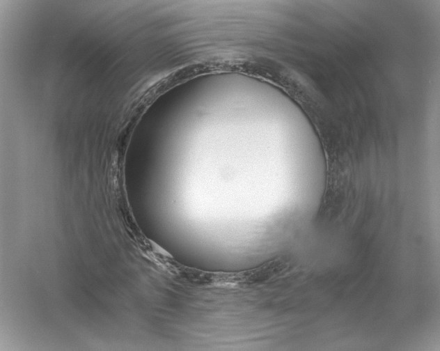 X0000056020773200509092138