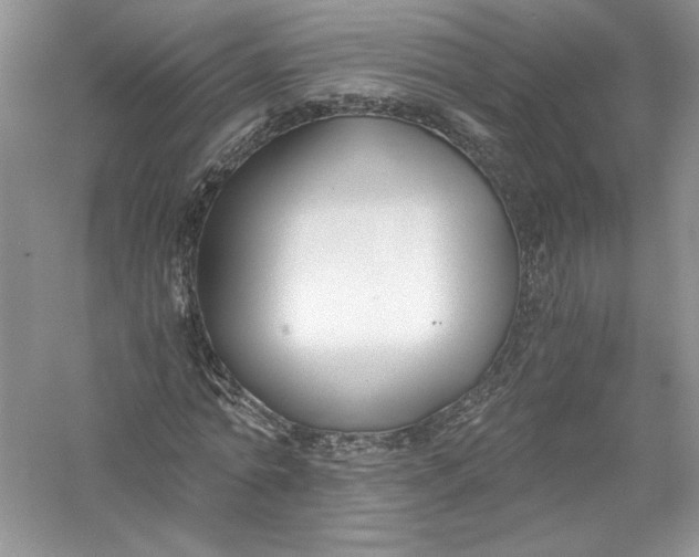 X0000056020774200509092138