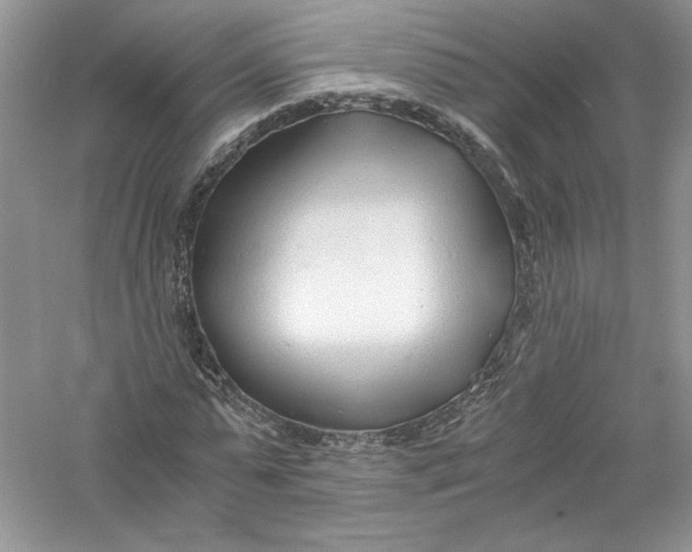 X0000056020775200509092138