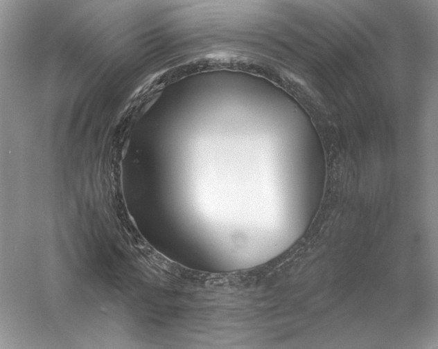 X0000056020776200509092138