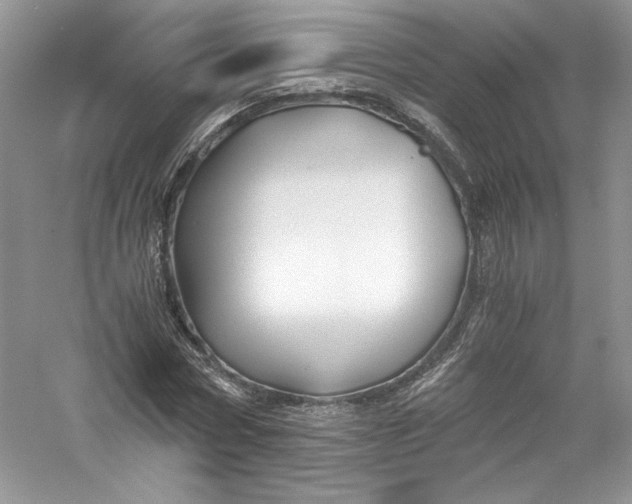 X0000056020778200509092138