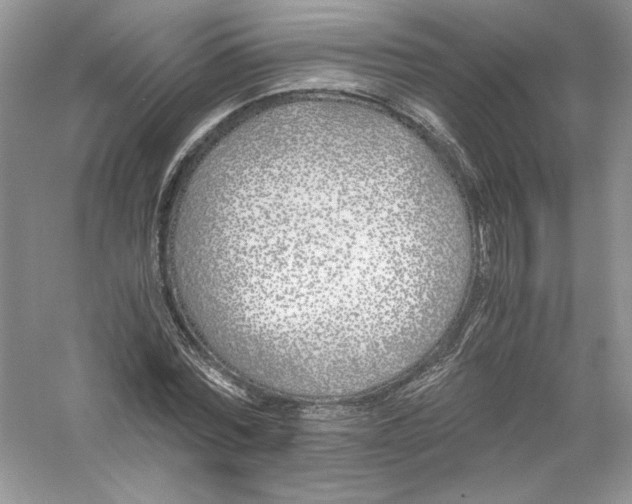 X0000056020780200509092138