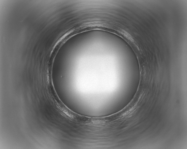 X0000056020782200509092138