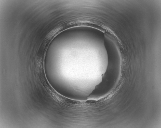X0000056020785200509092138