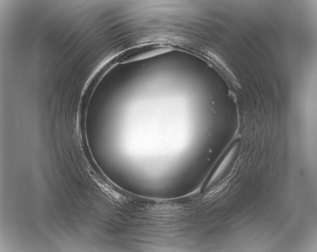 X0000056020788200509092138