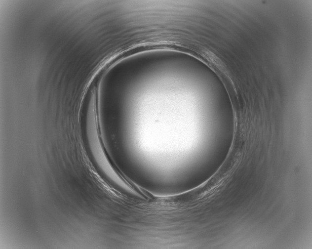 X0000056020789200509092138