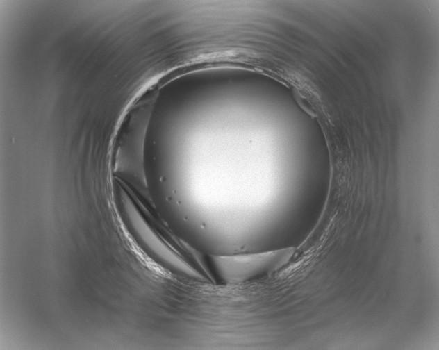 X0000056020792200509092138