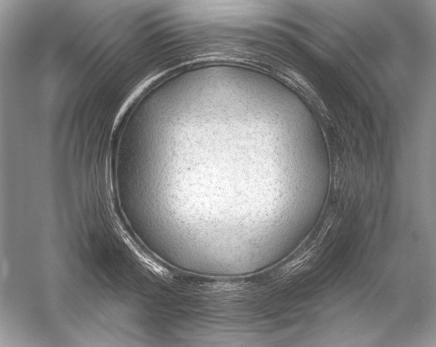 X0000056020796200509092137