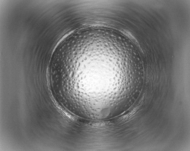 X0000056020798200509092137