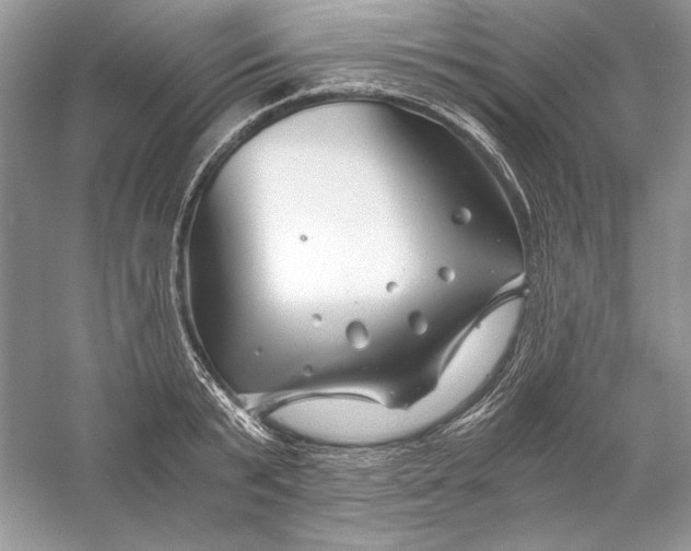 X0000056020799200509092137