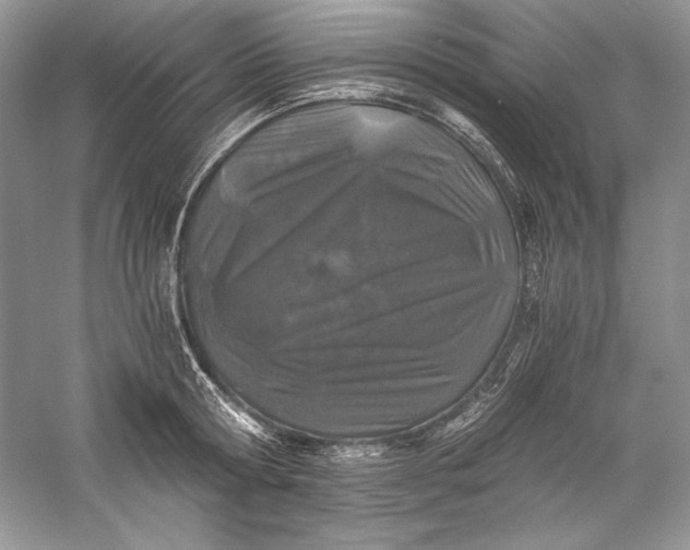 X0000056020802200509092137